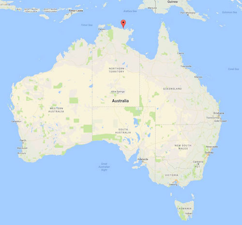 Australian Embassy Celebrates Aboriginal Artists from Remote Island of Milingimbi