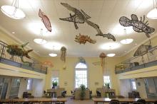 Australia: Defending the Ocean